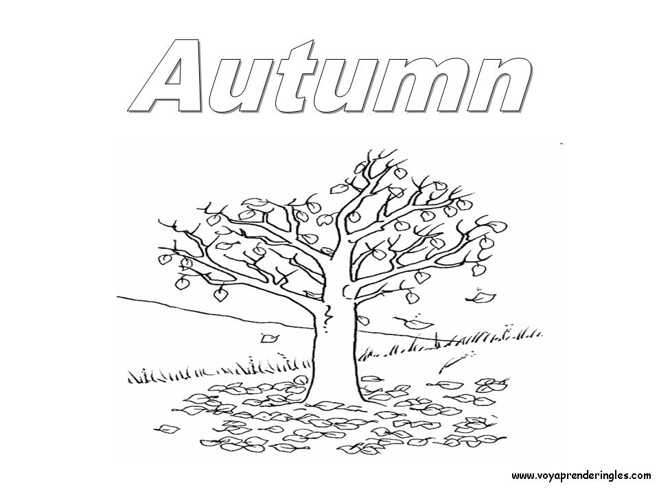 Autumn - Dibujos Estaciones del Año en Inglés