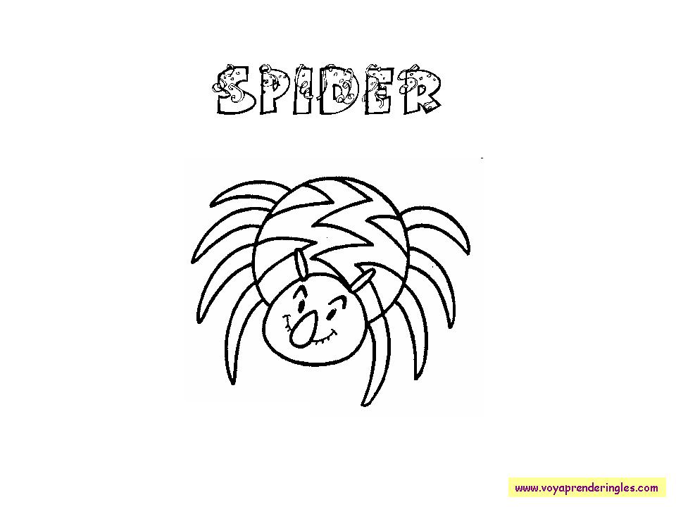Spider - Dibujos Halloween en Inglés