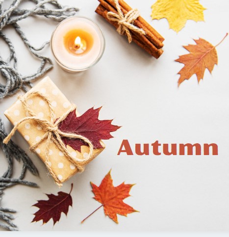 Otoño - Autumn - recursos educativos en inglés, actividades