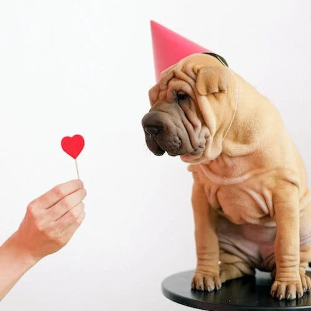San Valentín - Valentine's Day - Fechas Especiales