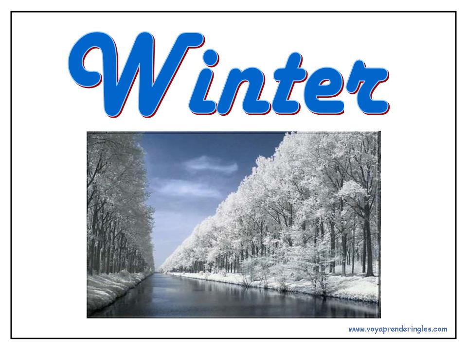 04 seasons estaciones