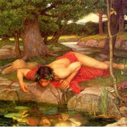 Narcissus - Narciso