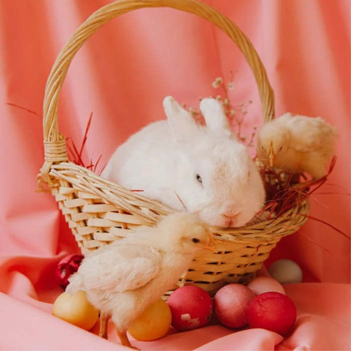 easter bunny, tales of easter, stories for Holy Week, easter, cuentos pascua en inglés