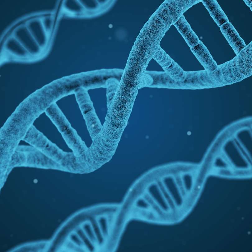 What Is DNA and Why Does It Matter?