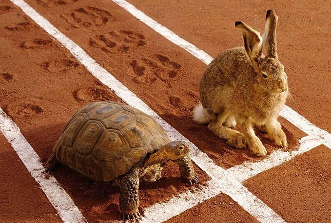 The Hare and the Tortoise - La Liebre y la Tortuga