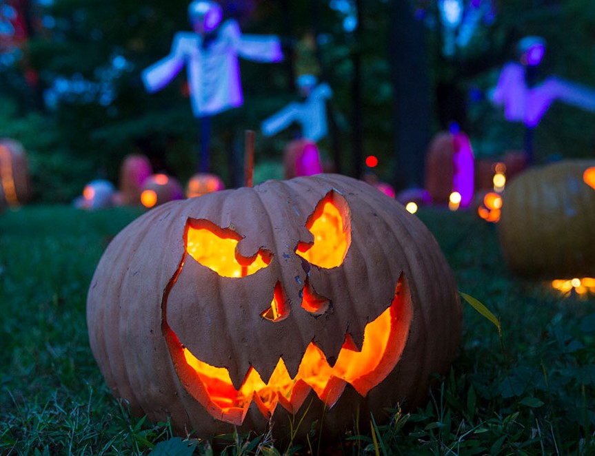 jack-o'-lantern  Tradução de jack-o'-lantern no Dicionário Infopédia de  Inglês - Português