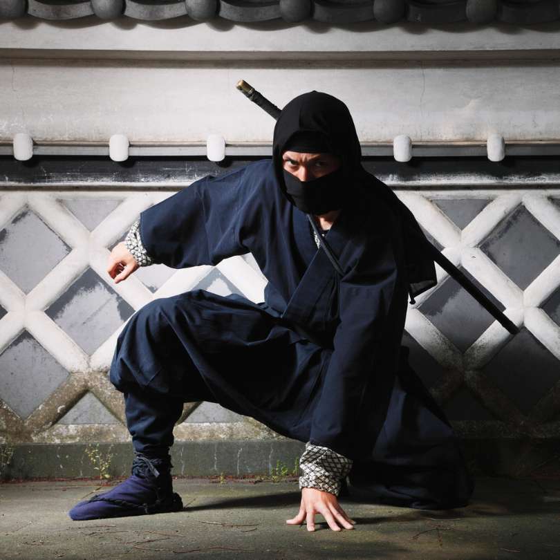 Ninja