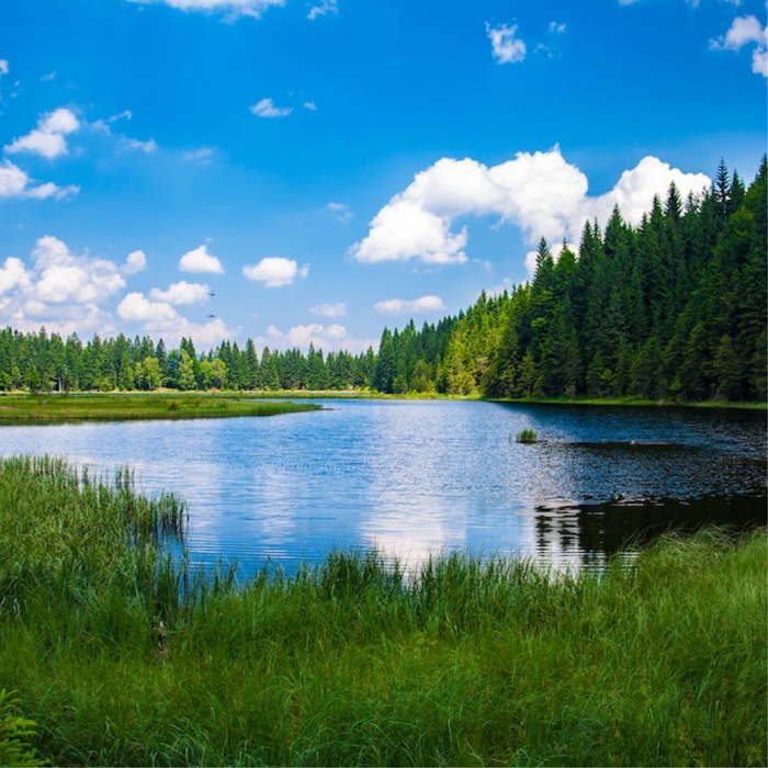 water stories, water tales, Stories in English for Water Day