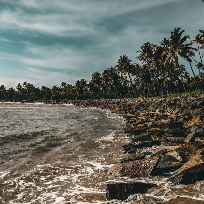 Journey Through Nature: Beaches and Rainforests Explored