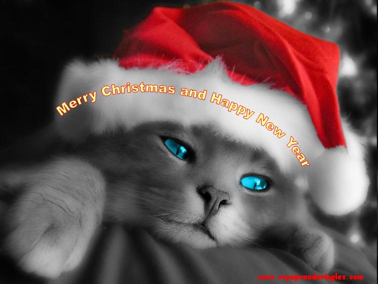Merry christmas - Tarjetas de Navidad - Christmas Cards
