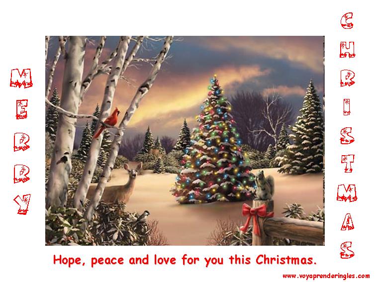 Merry christmas - Tarjetas de Navidad - Christmas Cards