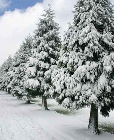 Winter Time - Canciones para Niños en Inglés