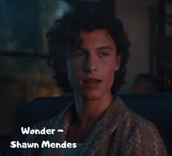 Shawn Mendes - Wonder