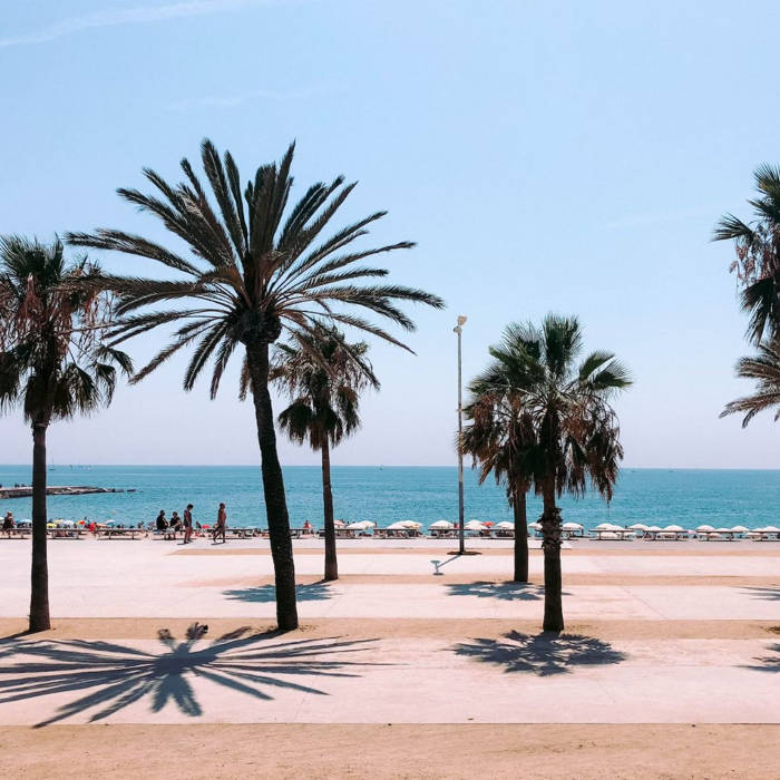 Barceloneta, Barcelona Express: Exploring the City's Cultural Gems in a Day