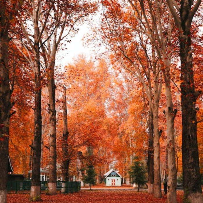 Autumn Escapes: Your Perfect Weekend Getaways