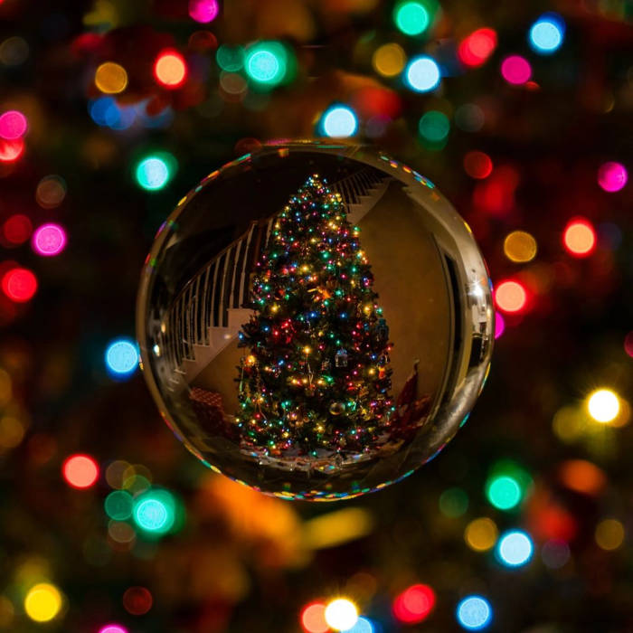 Christmas movies, holiday film guide, family-friendly cinema, festive movie marathon