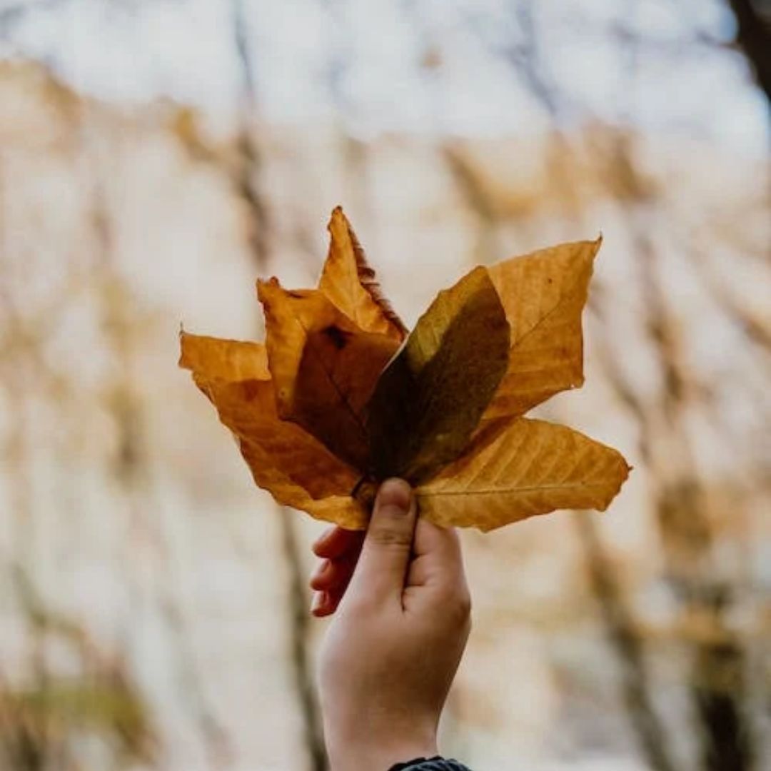 Celebrate Autumn: Creative Crafts for Kids
