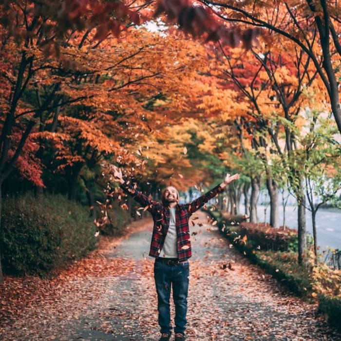 Autumn Escapades: Family Activities for All