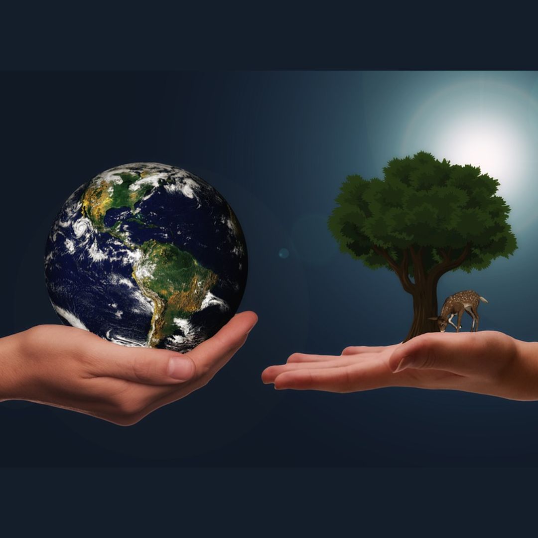 Why is World Habitat Day? What day is World Habitat Day?