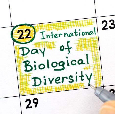 International Day for Biological Diversity