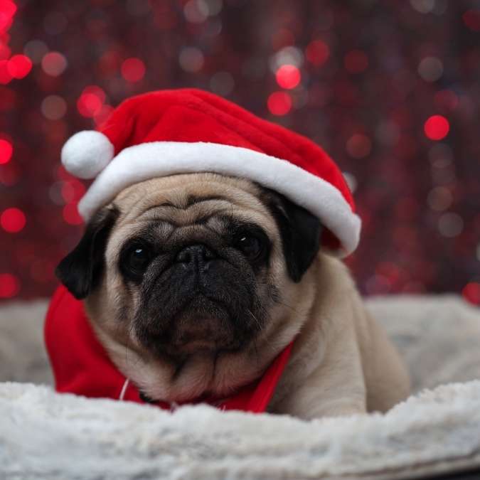 Why Christmas can feel stressful — and how to carry through