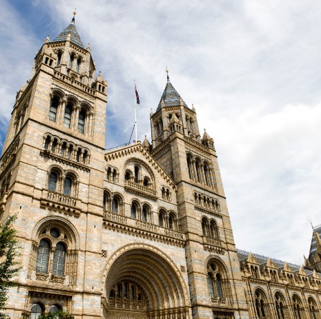 Natural history museum, London, London tourism, guide to London in English. Travel to london.