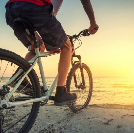 World Bicycle Day