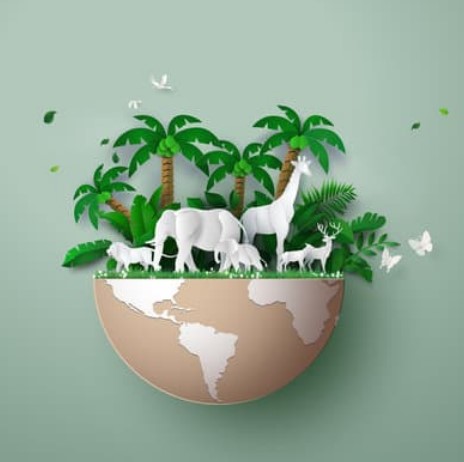 World Wildlife Day - 3 March