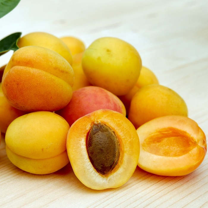 Apricots: All their health benefits