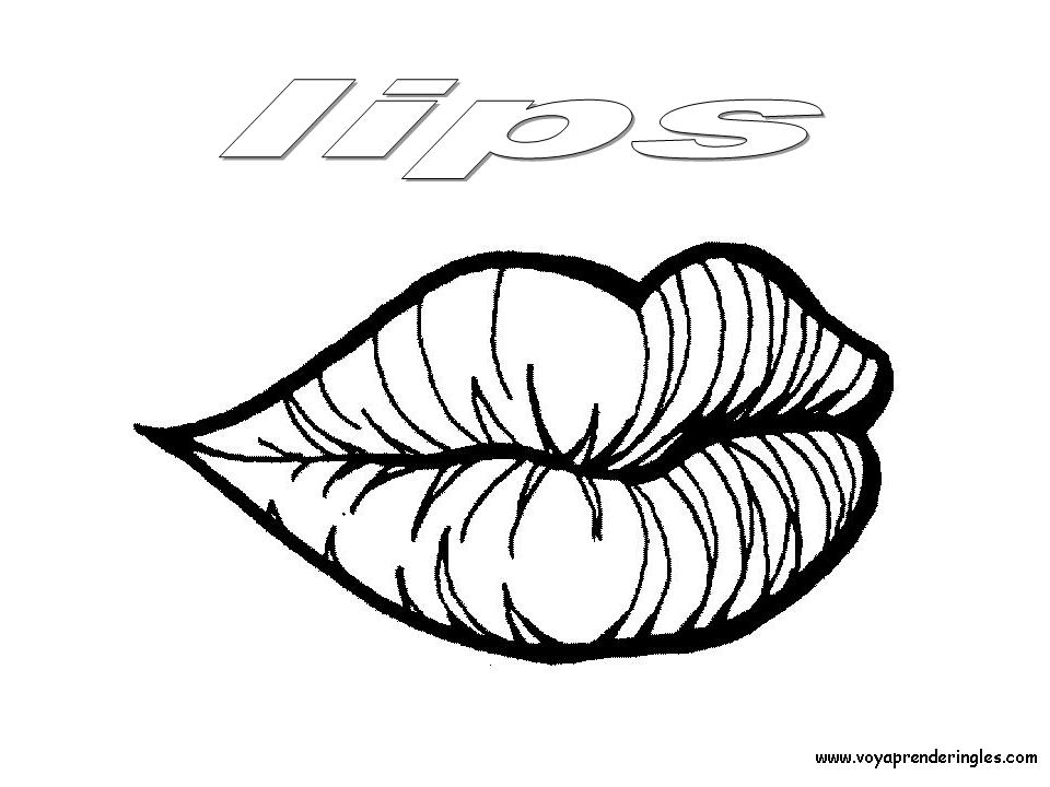 Lips - Dibujos Cuerpo Humano para Colorear en Inglés