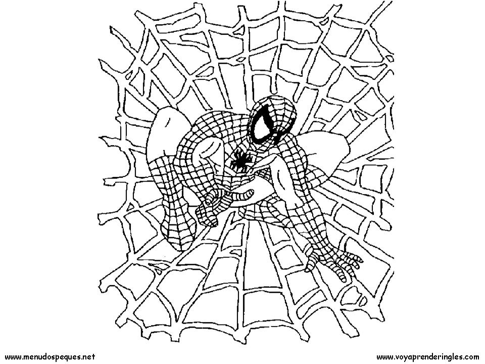 Spiderman 04 - Dibujos Spiderman para Colorear en Inglés