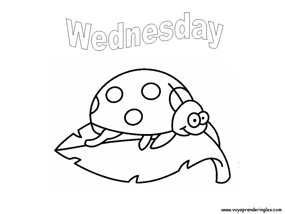 Wednesday - Dibujos días de la Semana para Colorear en Inglés