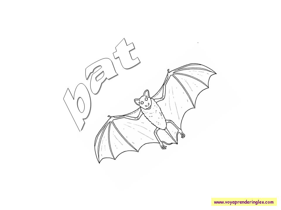 Bat - Dibujos Halloween en Inglés