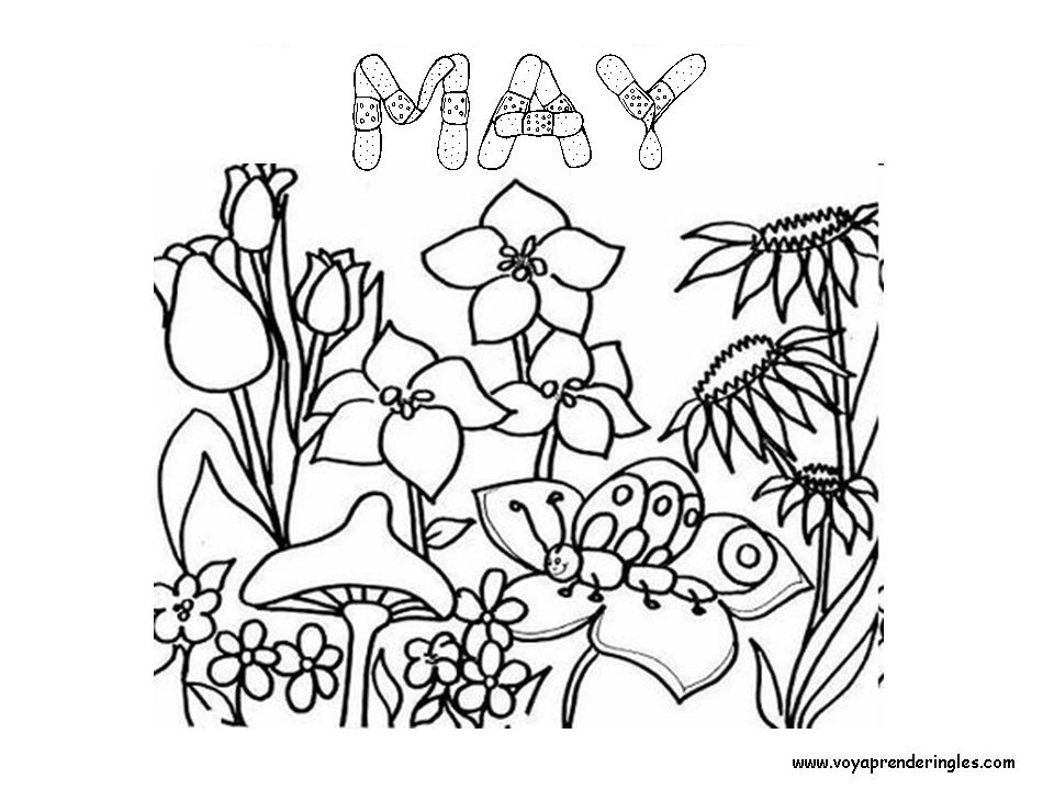 May - Dibujos Meses del año para Colorear en Inglés - Voy Aprender Inglés