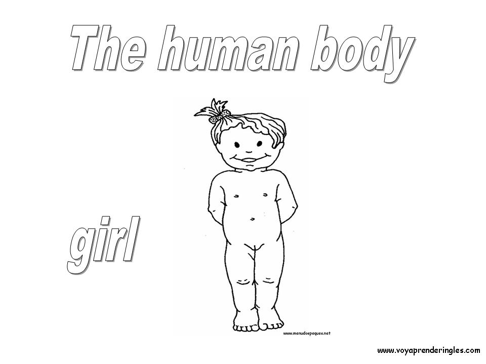 Girl - Dibujos Cuerpo Humano para Colorear en Inglés