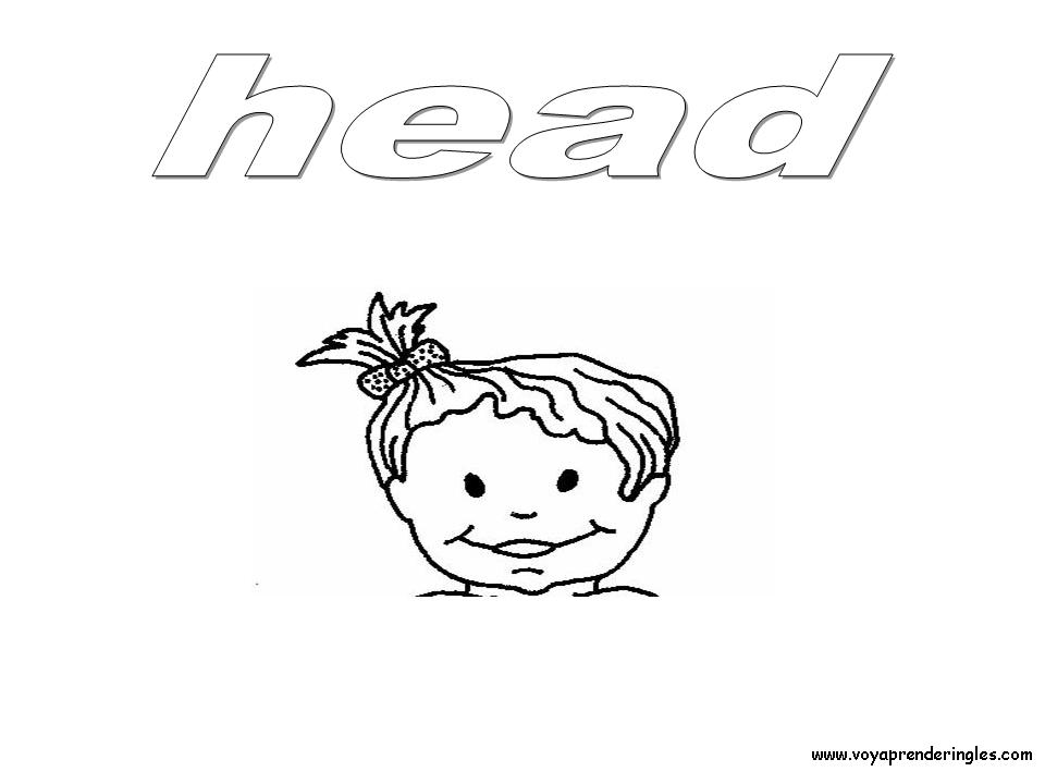 Head - Dibujos Cuerpo Humano para Colorear en Inglés