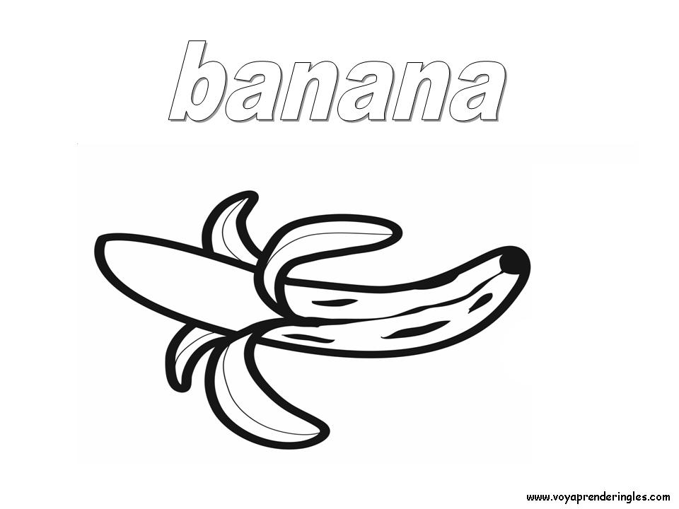 13 food alimentos