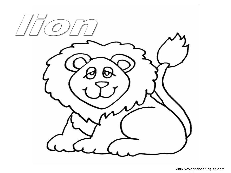 15 animals animales