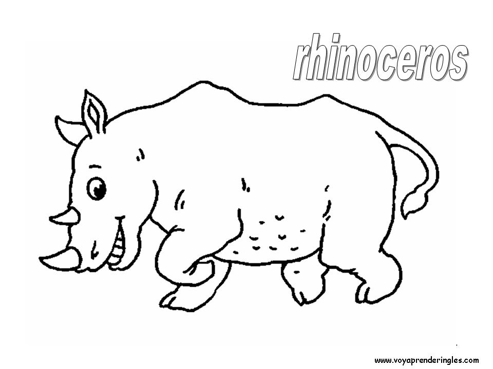 28 animals animales