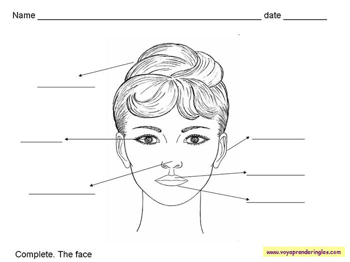 The Face - Fichas Infantiles en Inglés Cuerpo Humano