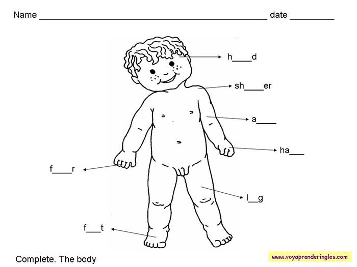 The Body - Fichas Infantiles en Inglés Cuerpo Humano