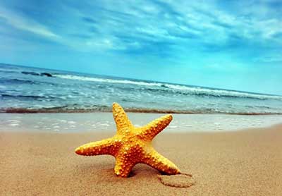 En la playa - At the beach