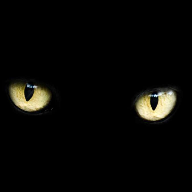 urban legends, halloween