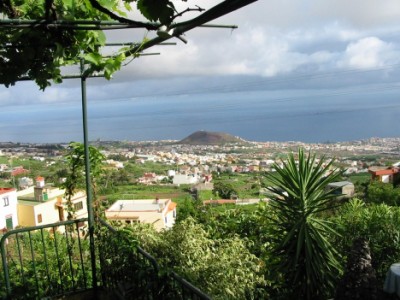 realejos 01