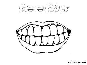 Teeths - Dibujos Cuerpo Humano para Colorear en Inglés