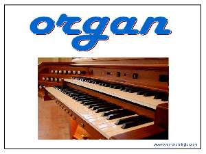 05 musical instruments instrumentos musicales