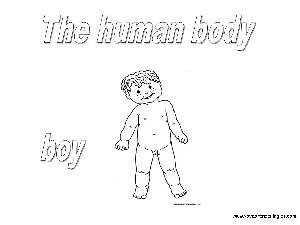 Boy - Dibujos Cuerpo Humano para Colorear en Inglés